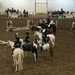 2017 NHJSSC English Show