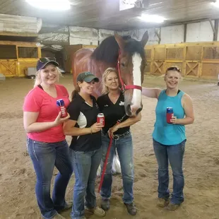 Clydesdales visit June of 2018