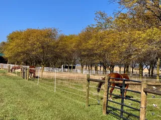 Silver Creek Stables