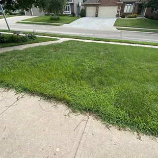 Lack of progress with 6 step "weed program", pictures are taken over 5 month period.