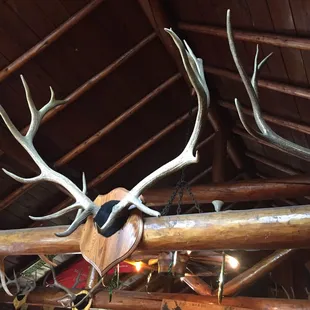 Some of the fine racks hanging in the rafters