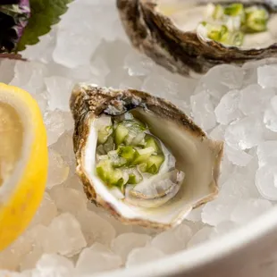 food, oysters and mussels, mussels, shellfish, oysters