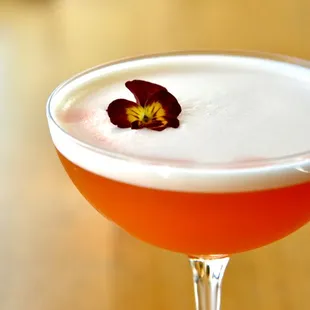 The Desired Distraction (Spring 2024)