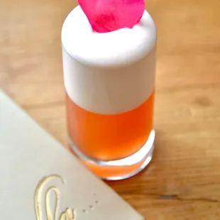 Waterslide (Summer 2024)