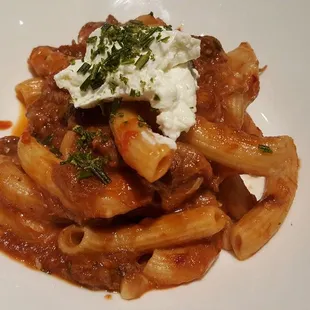 Braised Oxtail Rigatoni