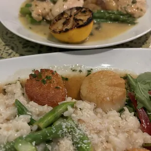 Chicken Picatta and scallops