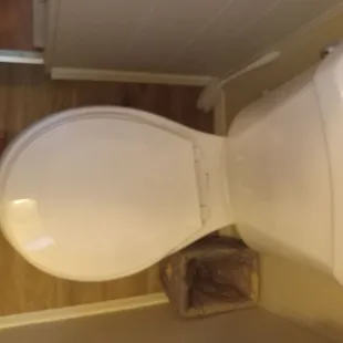 That's what the food tasted like.