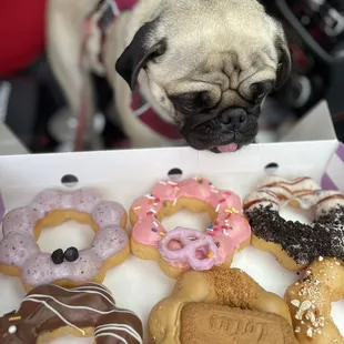 Mochi donuts 6 for $20