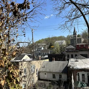The view from the tree house