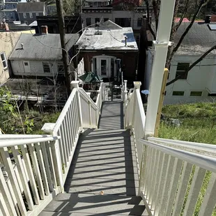 The steps to the tree house