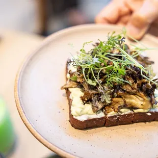 Wild Mushroom Toast