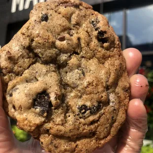 a hand holding a chocolate chip cookie