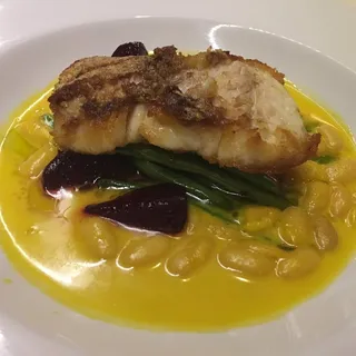 Red Snapper