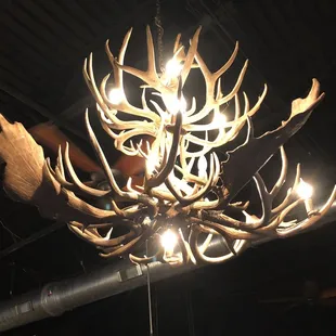 a large antler chandelier