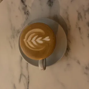 a cup of cappuccino