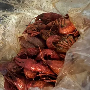 Crawfish