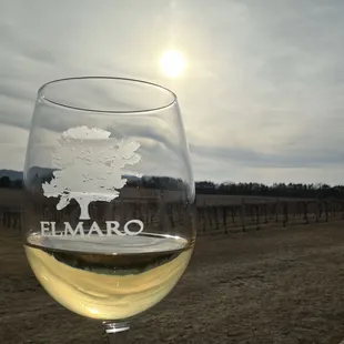 Bizarre winter in Minnesota! Enjoying wine and music outdoors sans coats, scarves, and mittens.