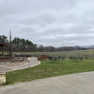 Vineyard/outdoor patio area