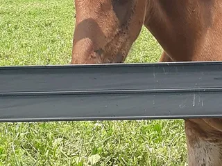 Kentuckiana Farms