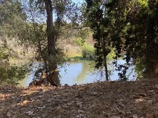 McConnell State Recreation Area