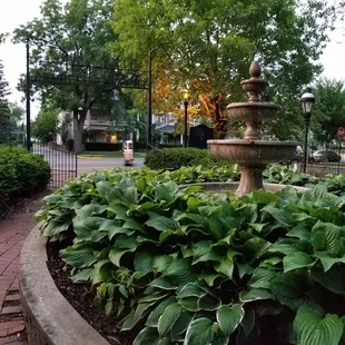 Peaceful fountain