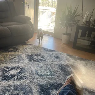 a person&apos;s feet on a rug in a living room