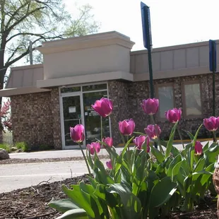 Elmwood Pharmacy