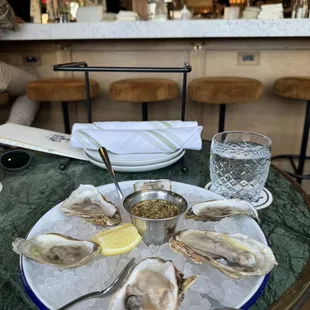 Oysters