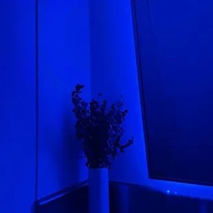 Restrooms vibes