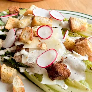 Grilled Ceasar Salad