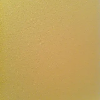 Y G.