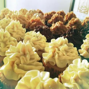 a variety of cupcakes on a plate