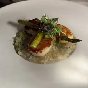 Local family recipe, scallops and risotto