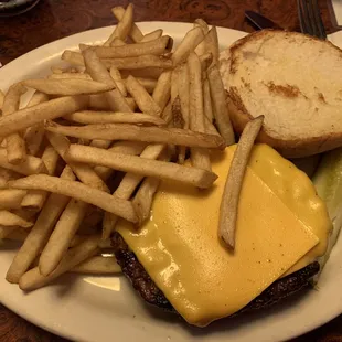 Plain cheeseburger with fries. So good!