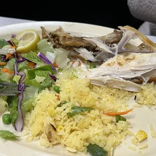 Salio Una mosca en el arroz