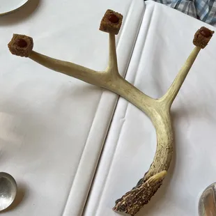 antelope on a table with spoons and plates