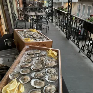 French Quarter Balcony Oyster Bar