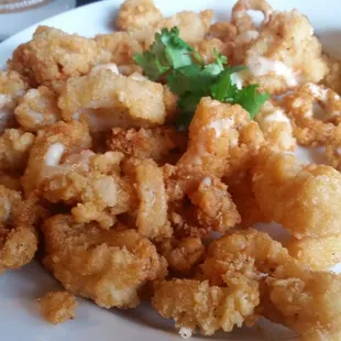 Calamari