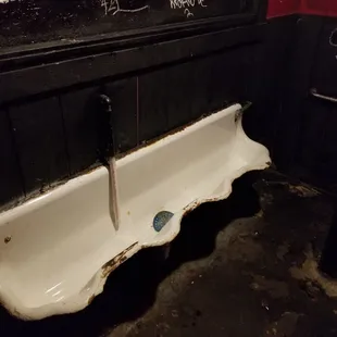 Those of you with a penis who need to piss or shit, this is your only option here at Elysium.