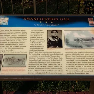 Emancipation Oak