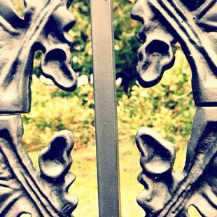 Iron fence looking through Emancipation Oak