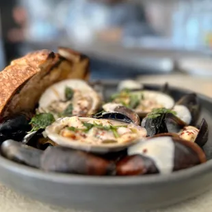 Clams &amp; Mussels