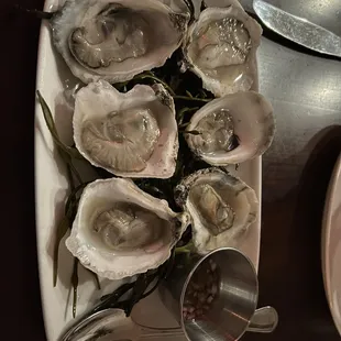 Oysters