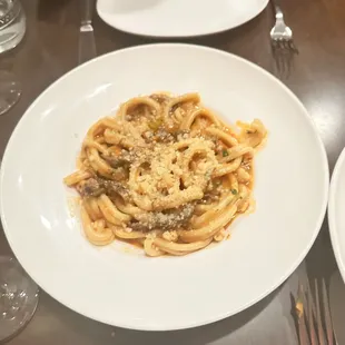 Lamb Ragu Pasta