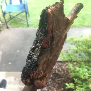 1.5 lb beef rib!