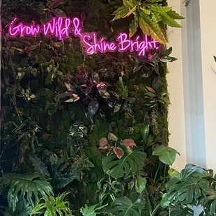 Just the vibe...