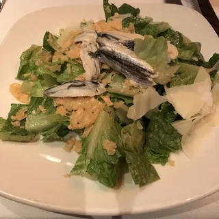Caesar