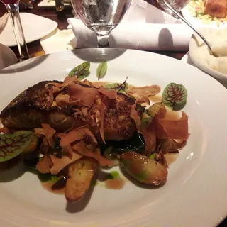 Salmon