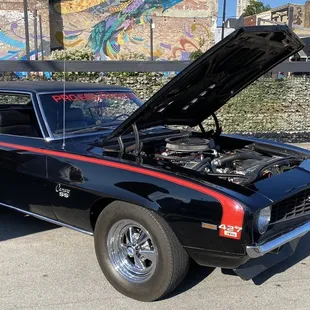 Car show next door