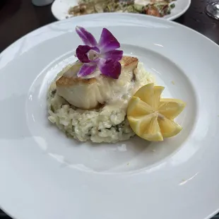 Chilean Sea Bass